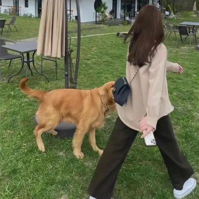 一个母亲的复仇
