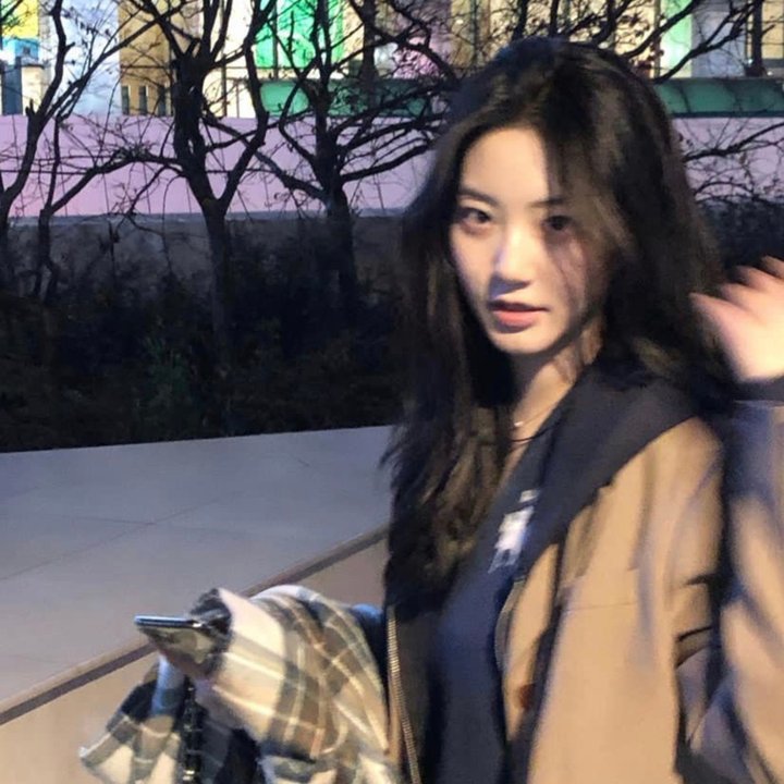 清风朗月花正开